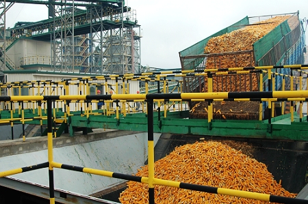 敦煌種業(yè)先鋒良種有限公司酒泉種子加工廠三、四期工程竣工投產(chǎn)