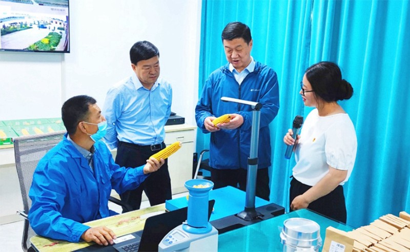甘肅省地方金融監(jiān)管局、甘肅證監(jiān)局領導蒞臨敦煌種業(yè)調(diào)研指導