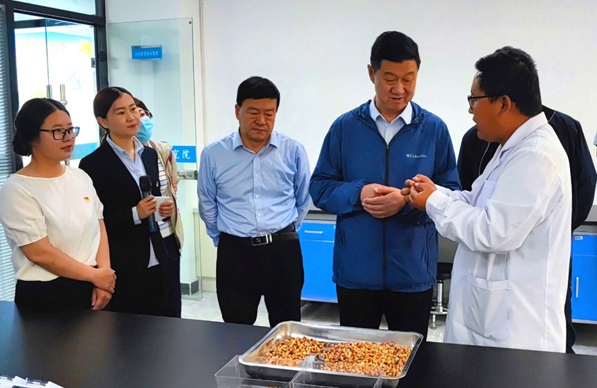 甘肅省地方金融監(jiān)管局、甘肅證監(jiān)局領導蒞臨敦煌種業(yè)調(diào)研指導