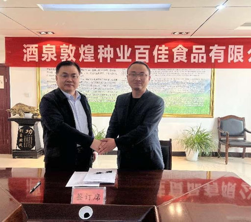 “三抓三促”進行時 | 深學(xué)細悟 篤行實干——酒泉敦煌種業(yè)百佳食品有限公司“三抓三促”行動紀(jì)實