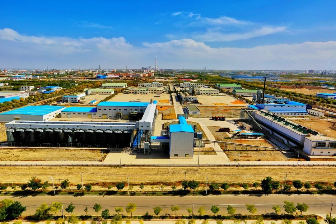 敦煌種業(yè)公司:播撒“希望種” 耕耘“夢想田”